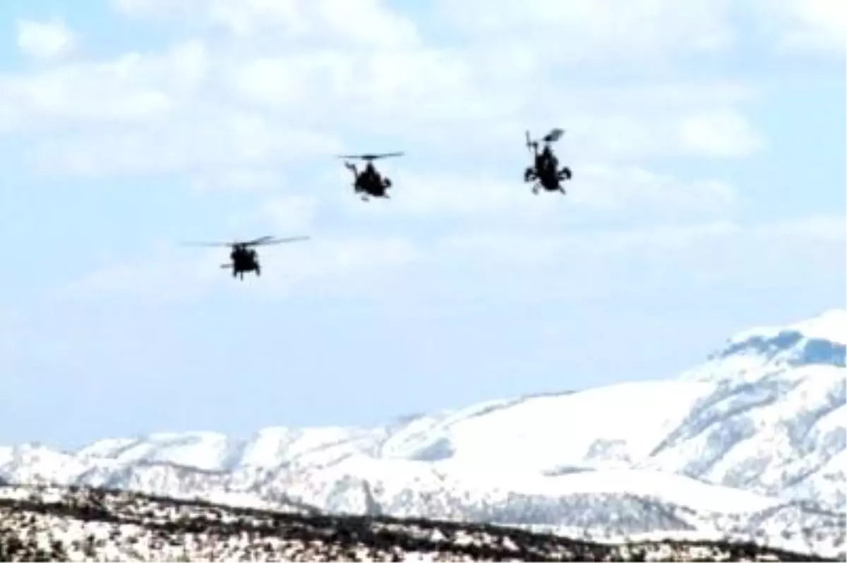 Bitlis'te Öldürülen 15 PKK'lı da Kadın!