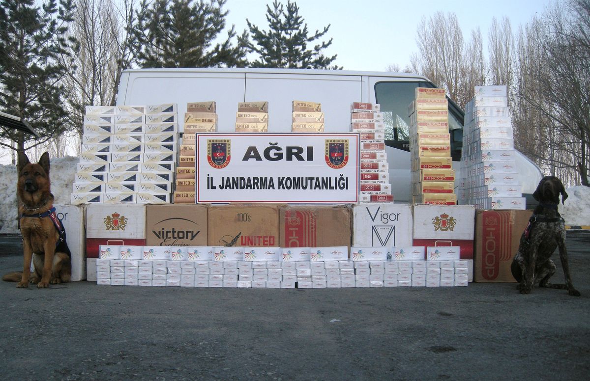 Jandarma 29 Bin 800 Paket Kaçak Sigara Ele Geçirdi