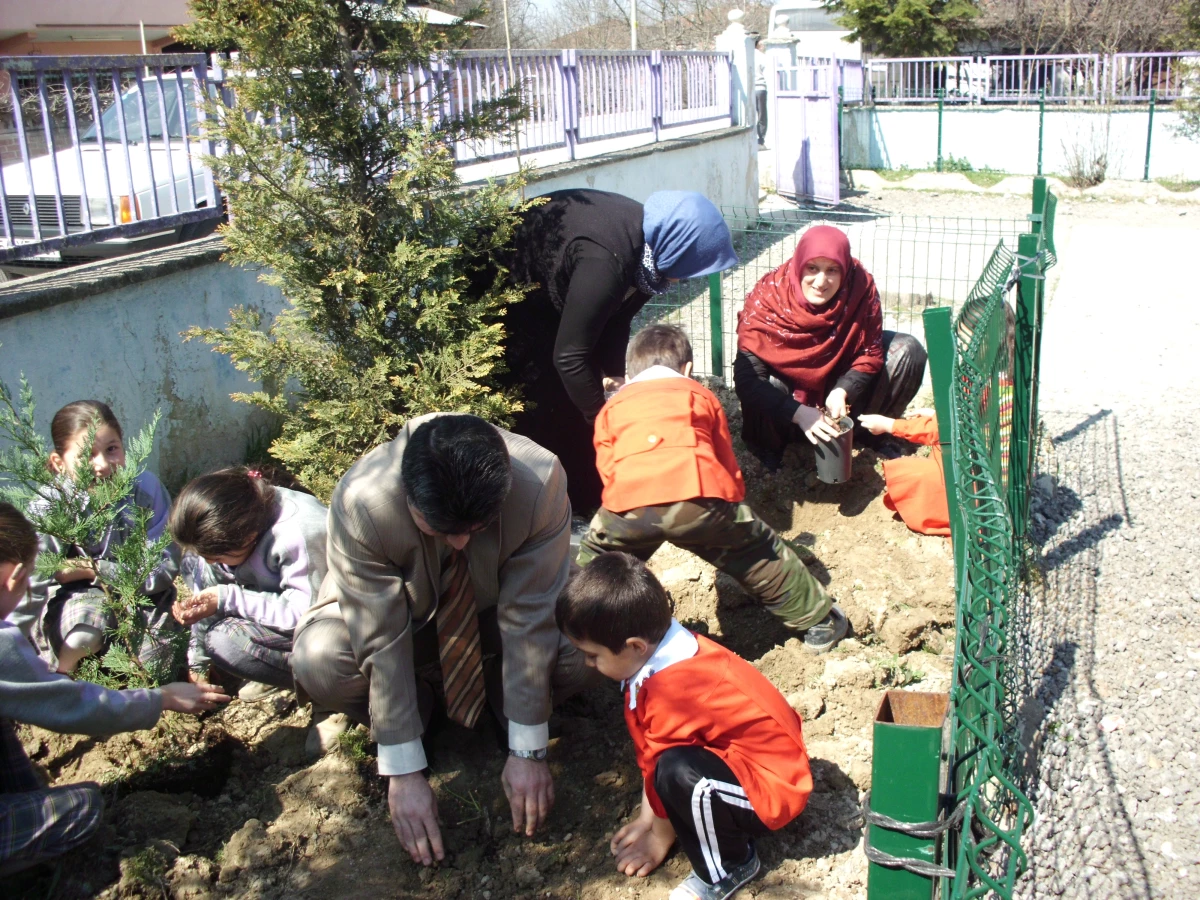 Öğrenciler Okul Bahçesine Çam Fidanı ve Gül Dikti