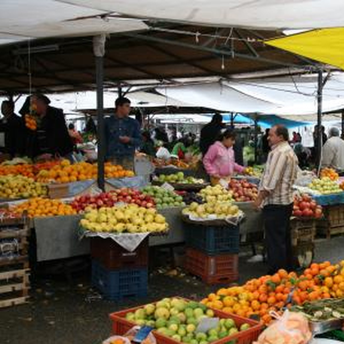 "Sigorta" Pazara da Giriyor