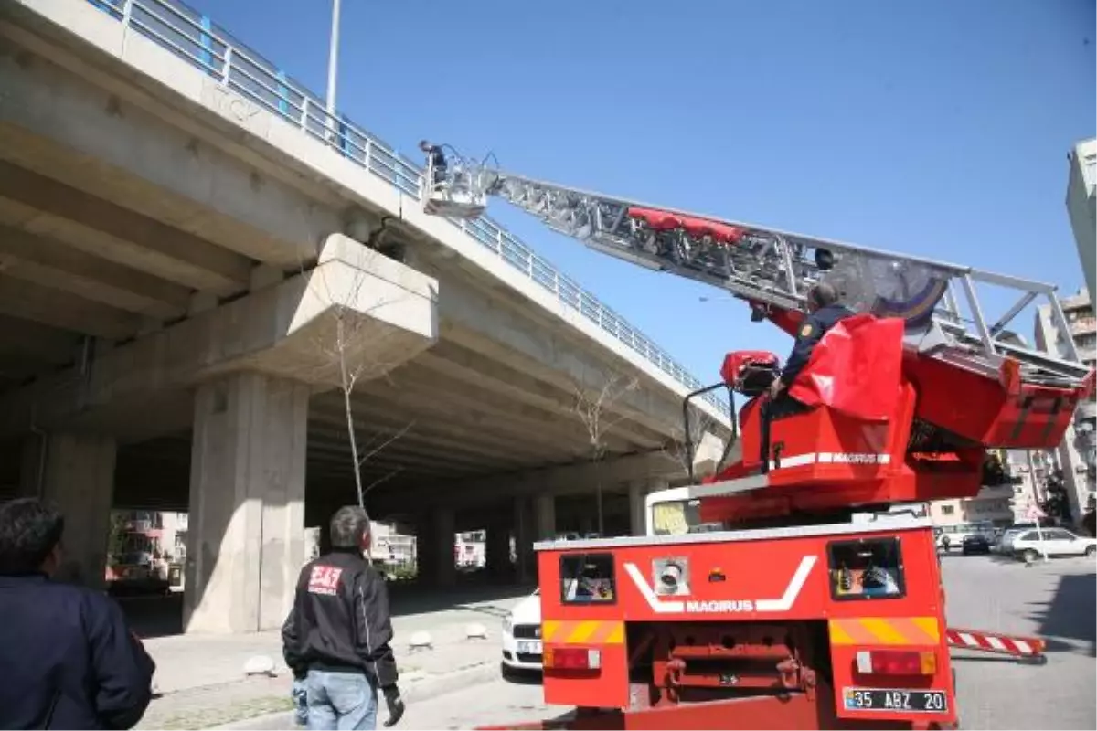 Tekir\'e Kurtuluş Operasyonu