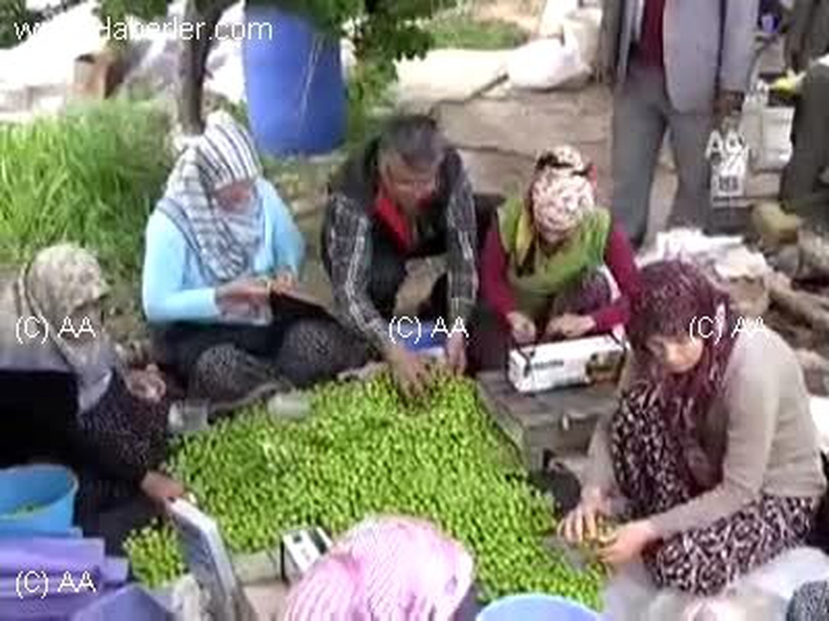 Erik Kilosu 200 TL'den Alıcı Buldu
