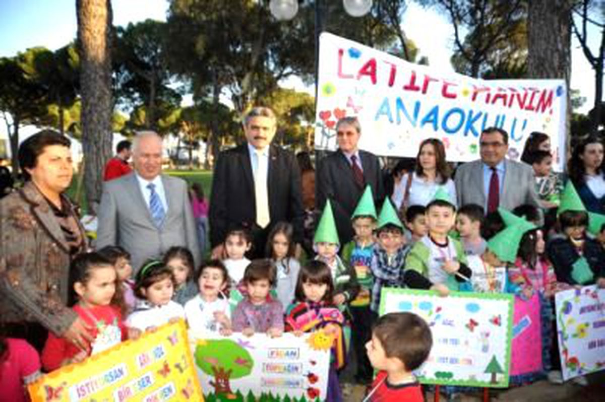 Minikler 150 Adet Fıstık Çamı Dikti