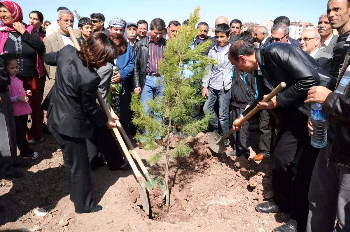 Toplu Konut Bölgesinde Bin Fidan Dikildi