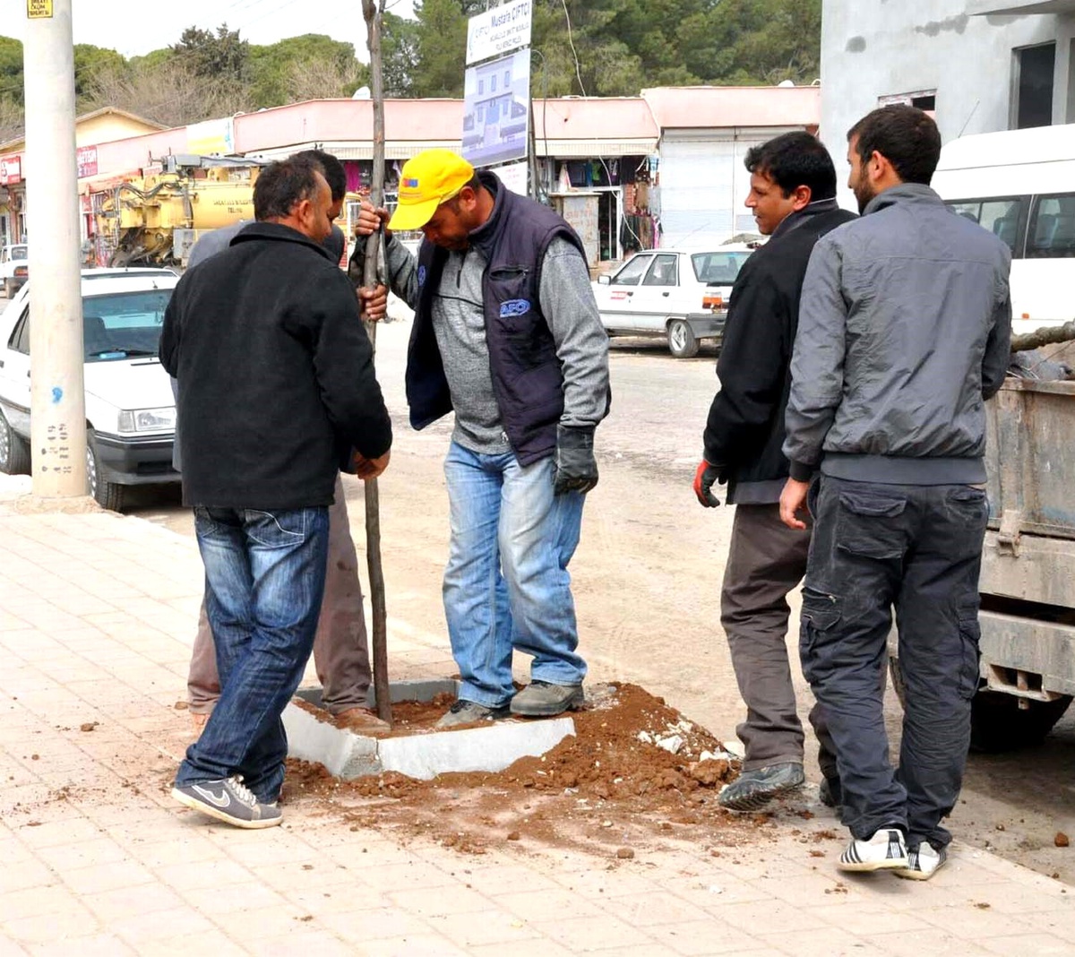 Akçakale Belediyesi Kaldırımları Ağaçlandırıyor