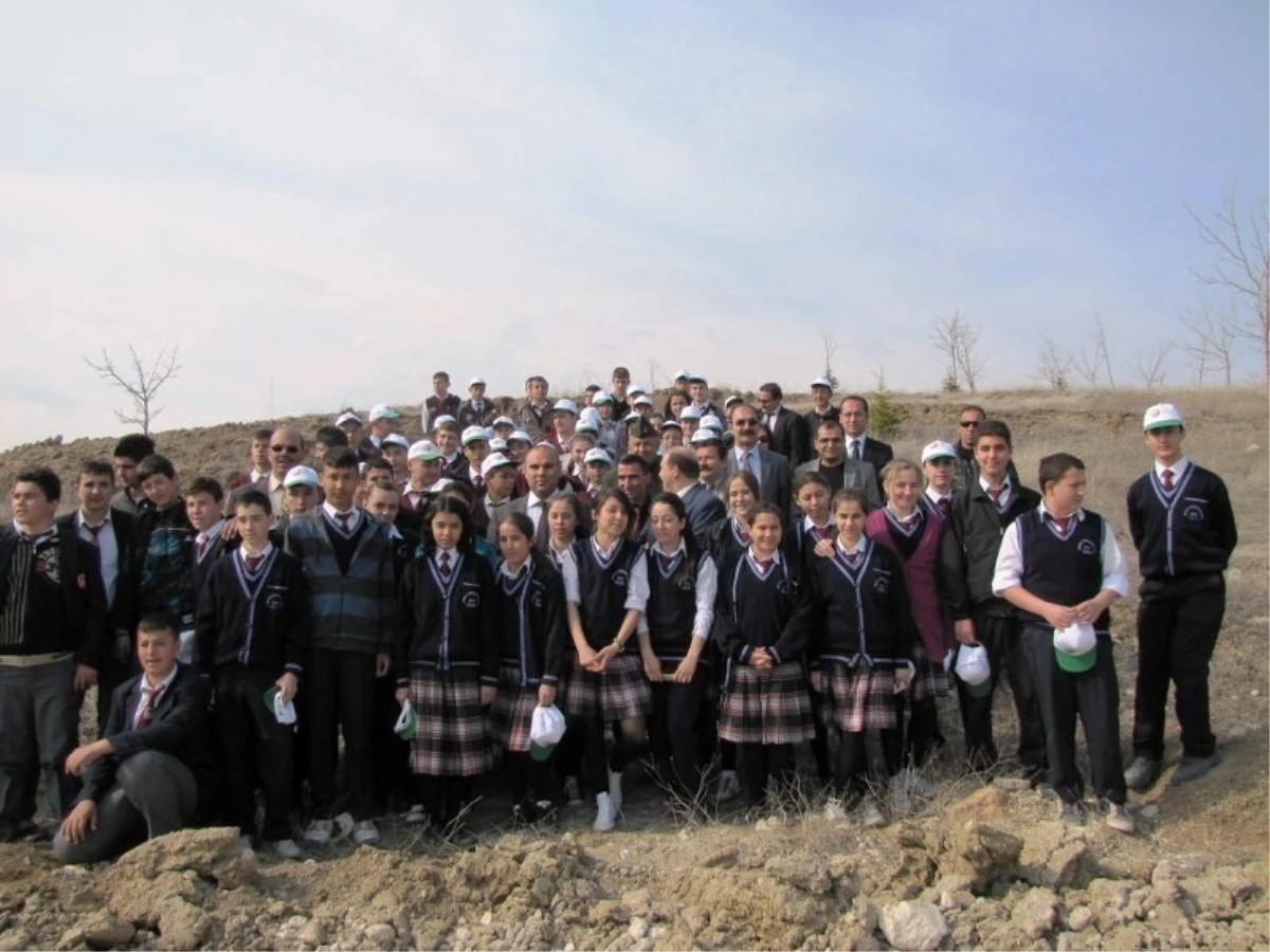 Hisarcık\'ta Öğrenciler "Bor" Maden Sahalarına Fidan Dikti