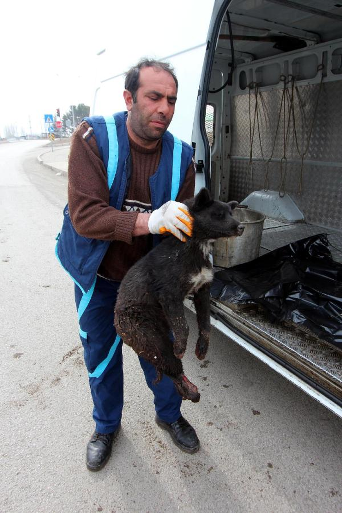 Kamyonetin Çarptığı Yavru Köpeğin Ayakları Kırıldı