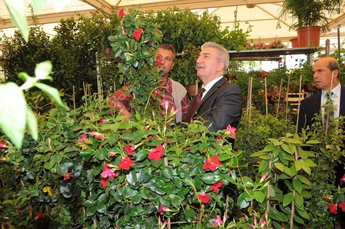 Karşıyaka Çiçek Festivali'nde Geri Sayım Başladı…