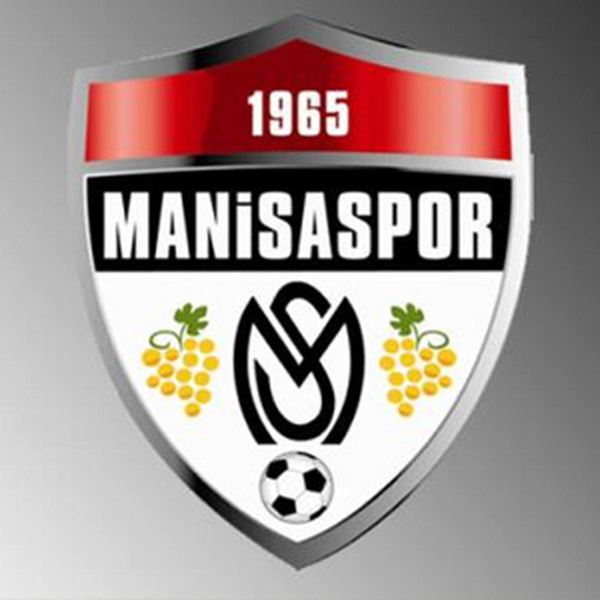Manisaspor Ligden Düştü, Manisalılar Umudunu Akhisar\'a Bağladı