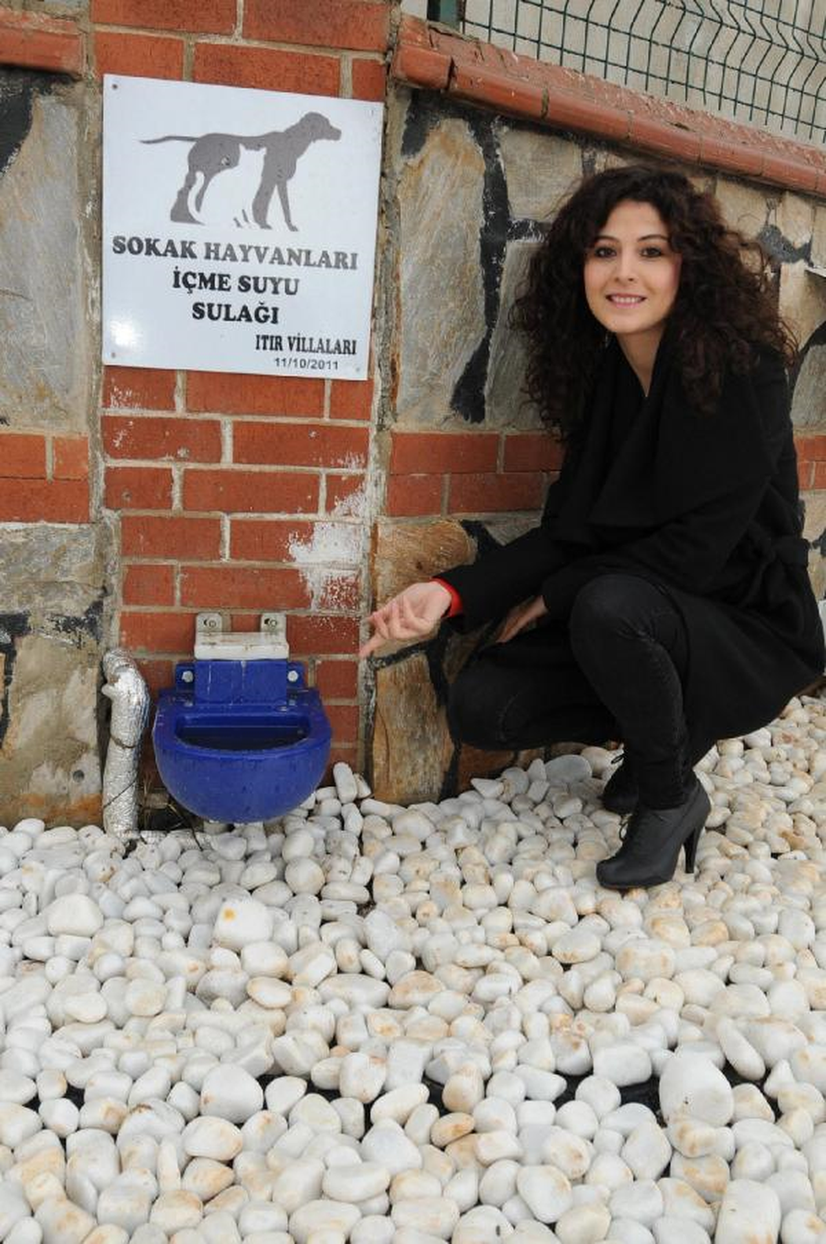 Sokak Hayvanlarına Sumatik