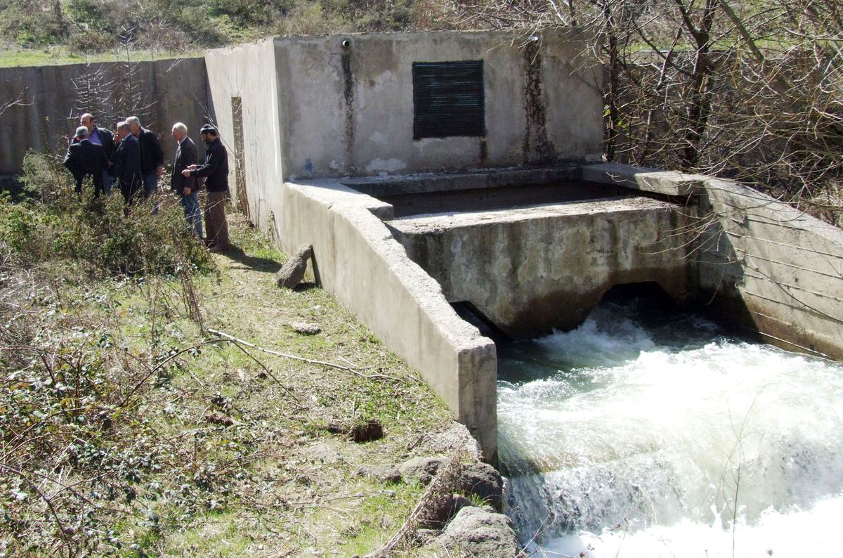 Tahliye Vanası Bozulunca Binlerce Sazan Telef Oldu