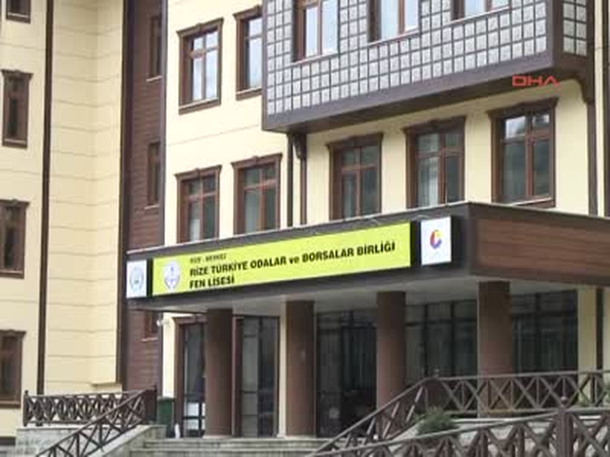 Yemek Artıkları Sokak Köpeklerine
