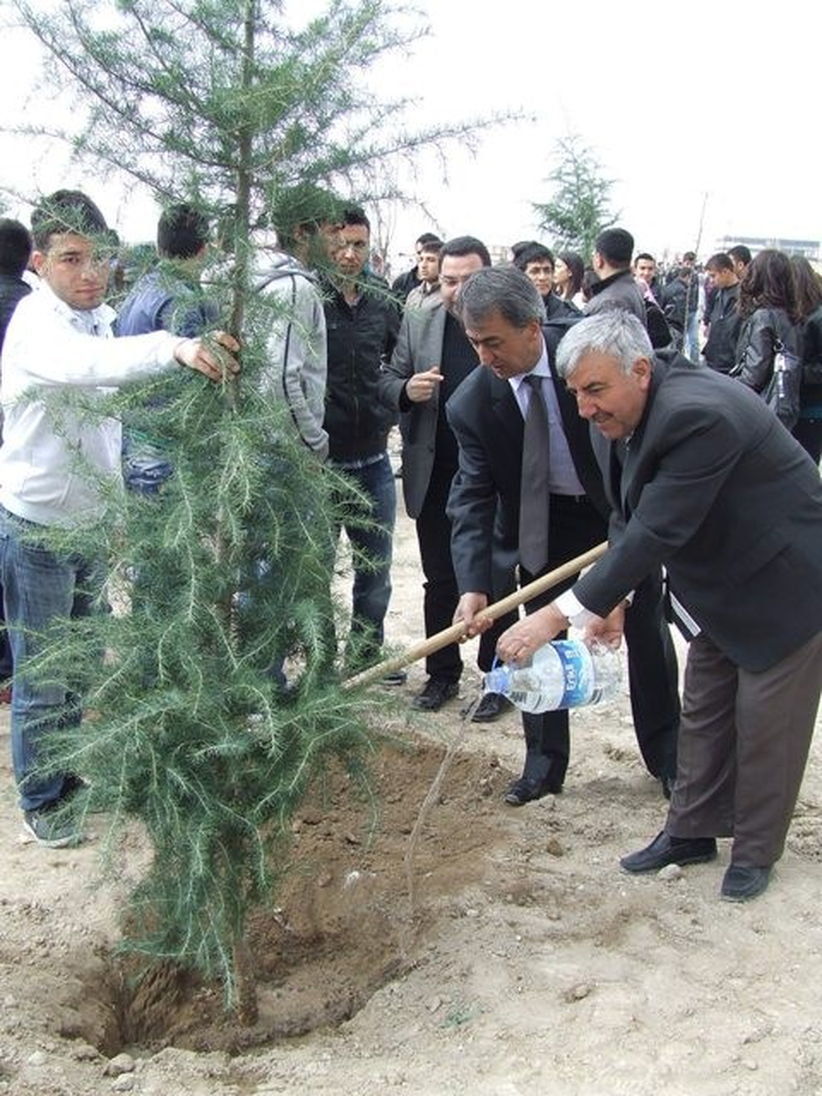 Abdullah Gül İçin 3 Bin 200 Çam Ağacı