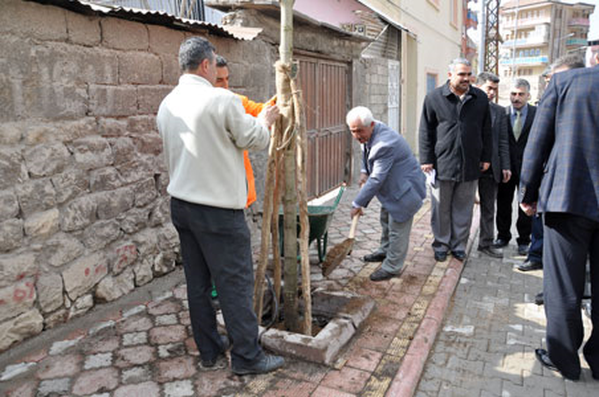 Belediye\'den Yeşil Hamle