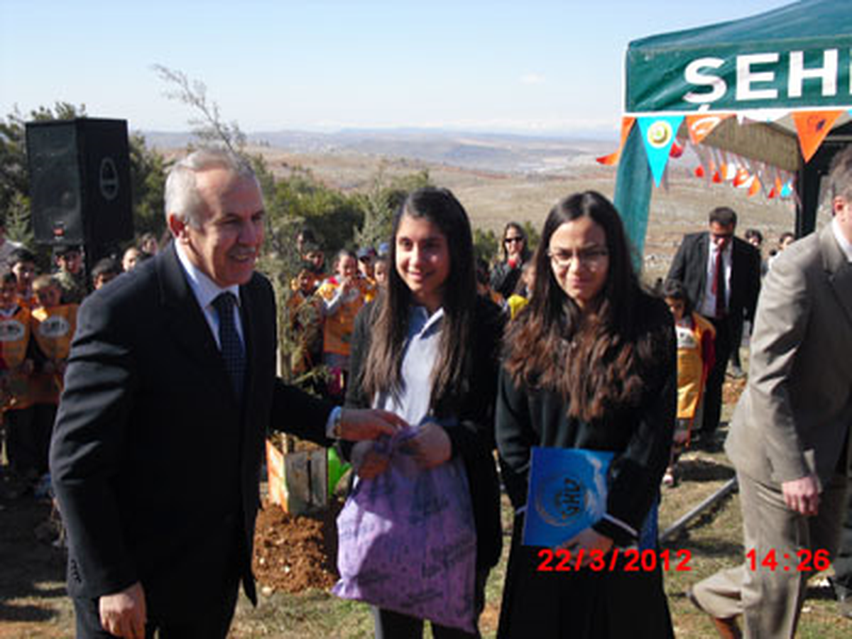 "Doğanın Sunduğu Değer: Ağaç"
