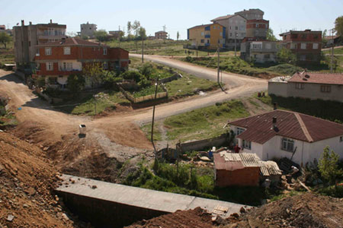 İplik Deresi Orman Olacak