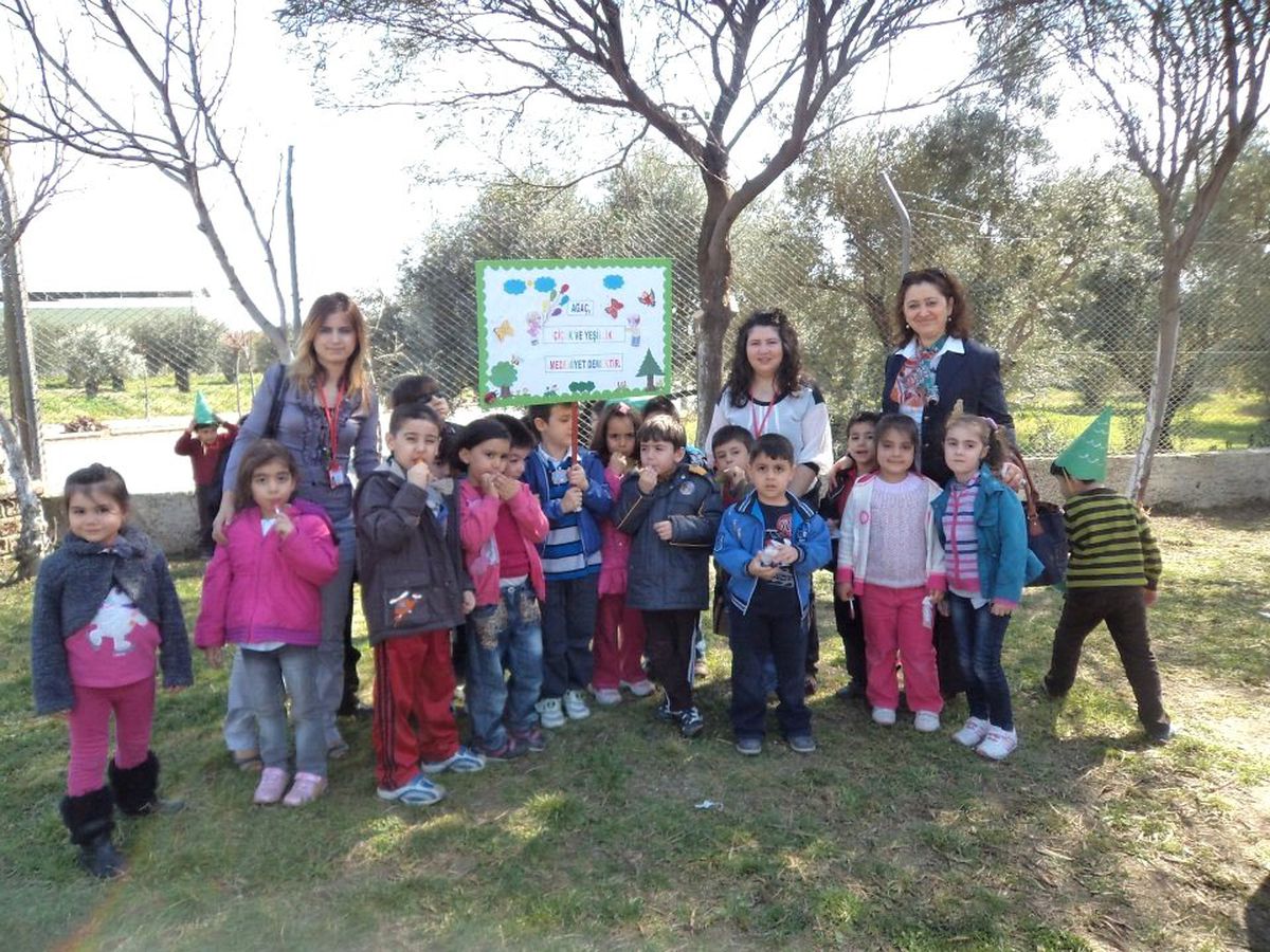 Kardeş Okul, Ortak Ağaç İlgi Gördü