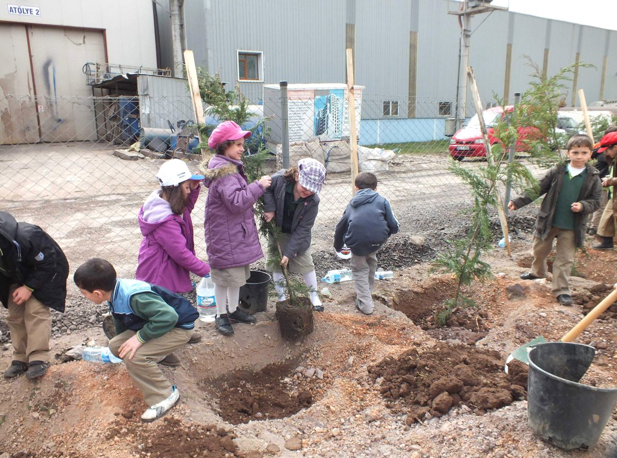 Minik Öğrenciler Fidan Dikti