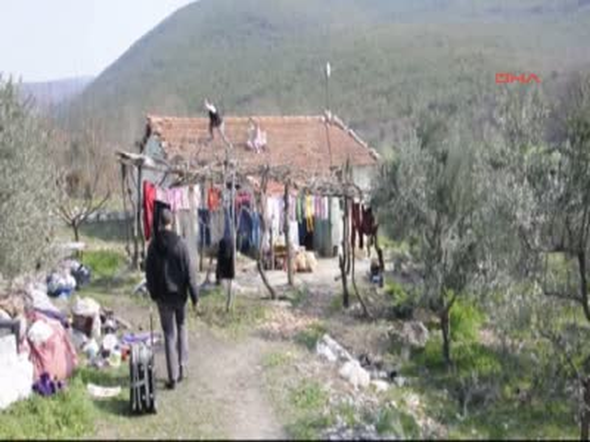 Orman Arazisine Ev Yapan Ailenin Dramı