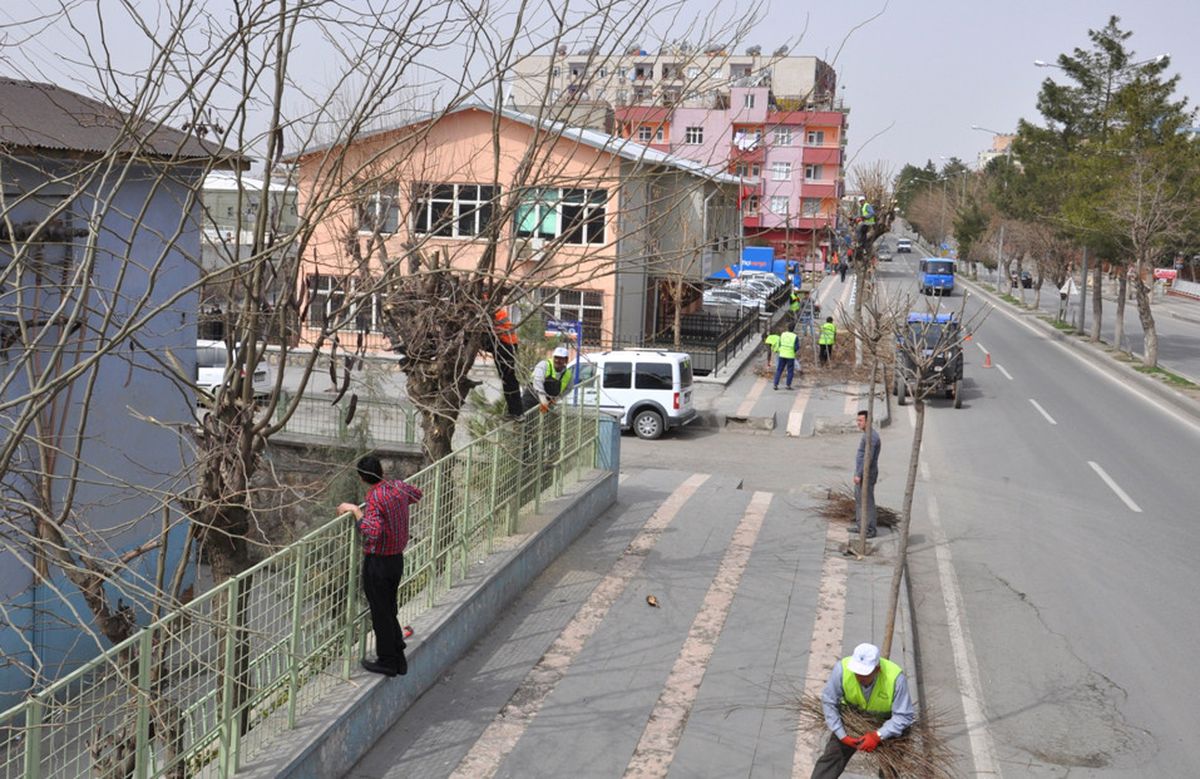 Siirt Belediyesi Bahar Çalışmaları Devam Ediyor