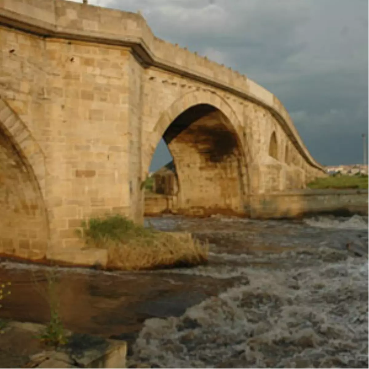 Ergene Nehri Kanser Anketi Sonuçları Açıklandı