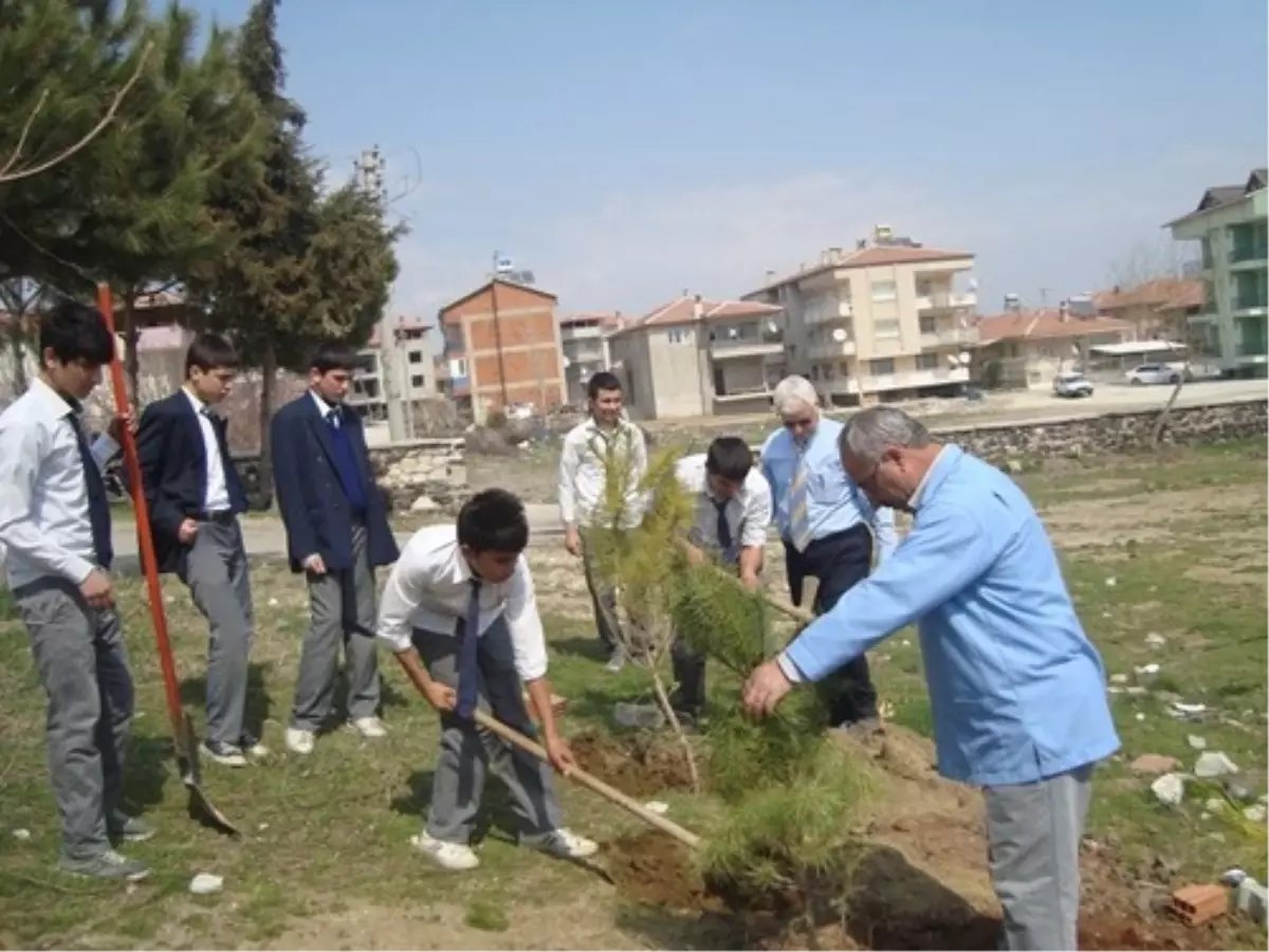 İmam Hatip Lisesi Öğrencileri Ağaç Dikti