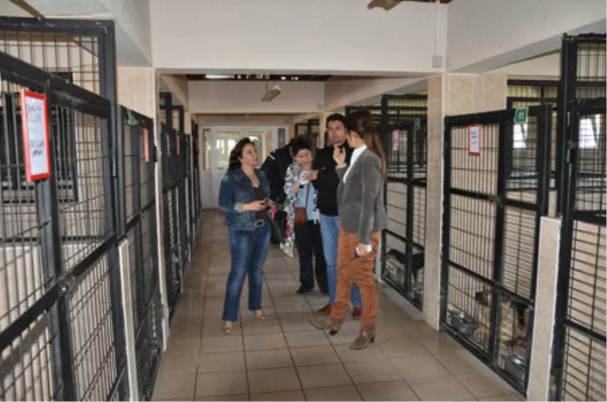 Osmangazi Kocaeli\'ne Örnek Oldu
