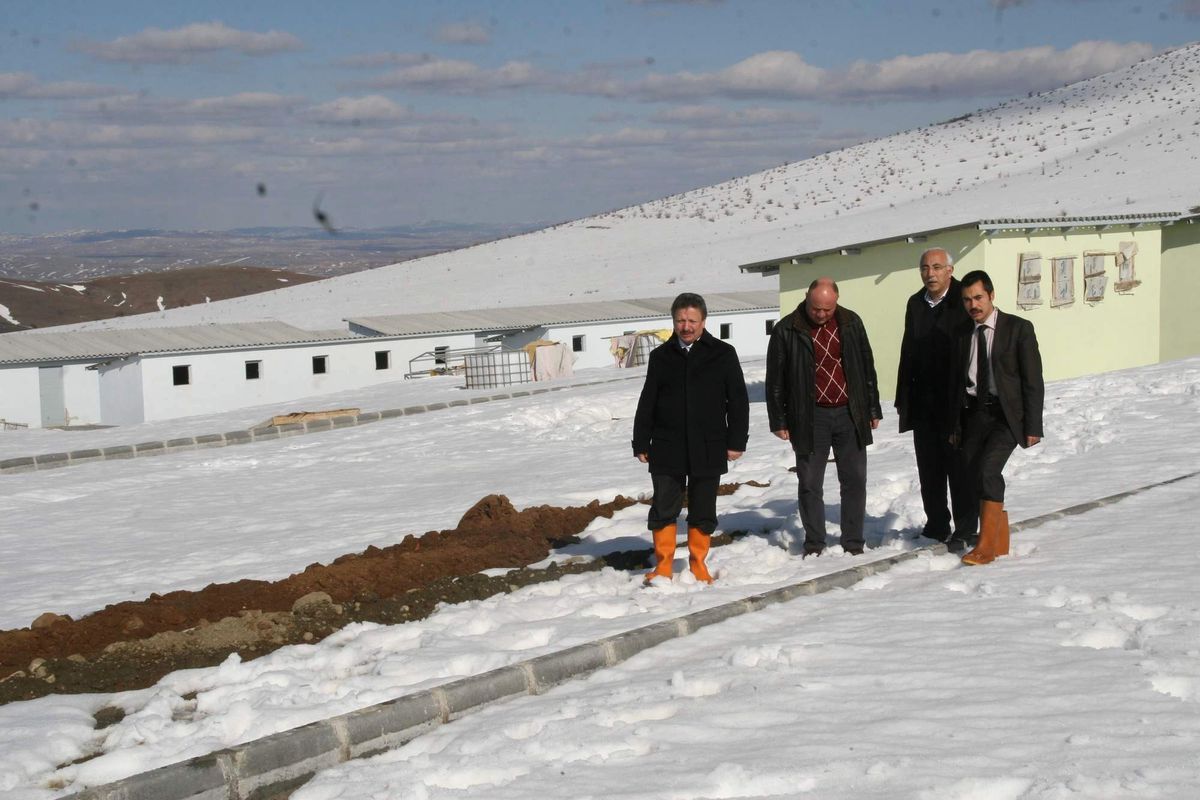 Yozgat Belediyesi Sokak Hayvanlarına Modern Barınak Hazırlıyor