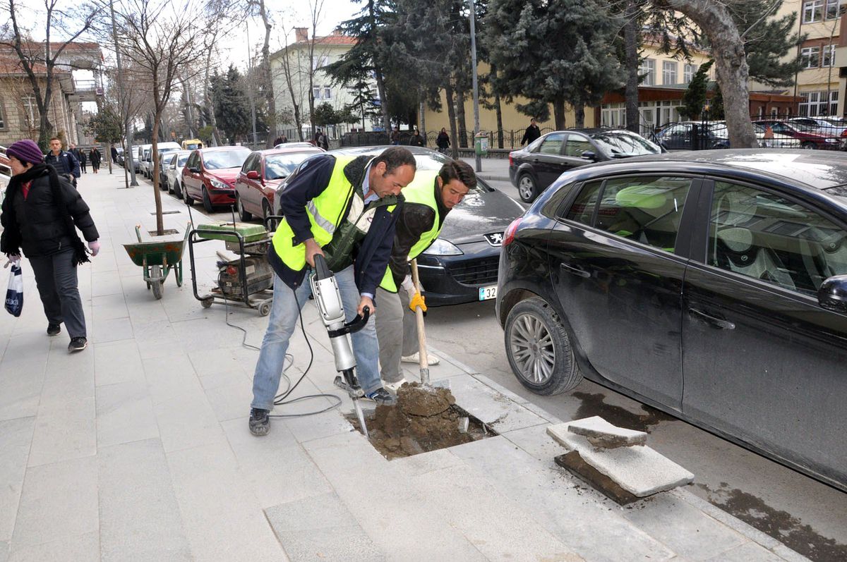 100 Bin Ağaç Toprakla Buluşacak