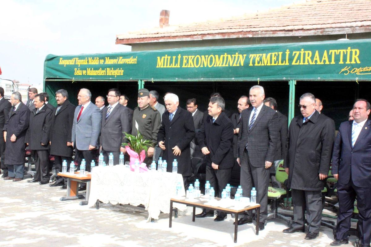 Aksaray\'da Çiftçilere Gebe Düve Dağıtıldı
