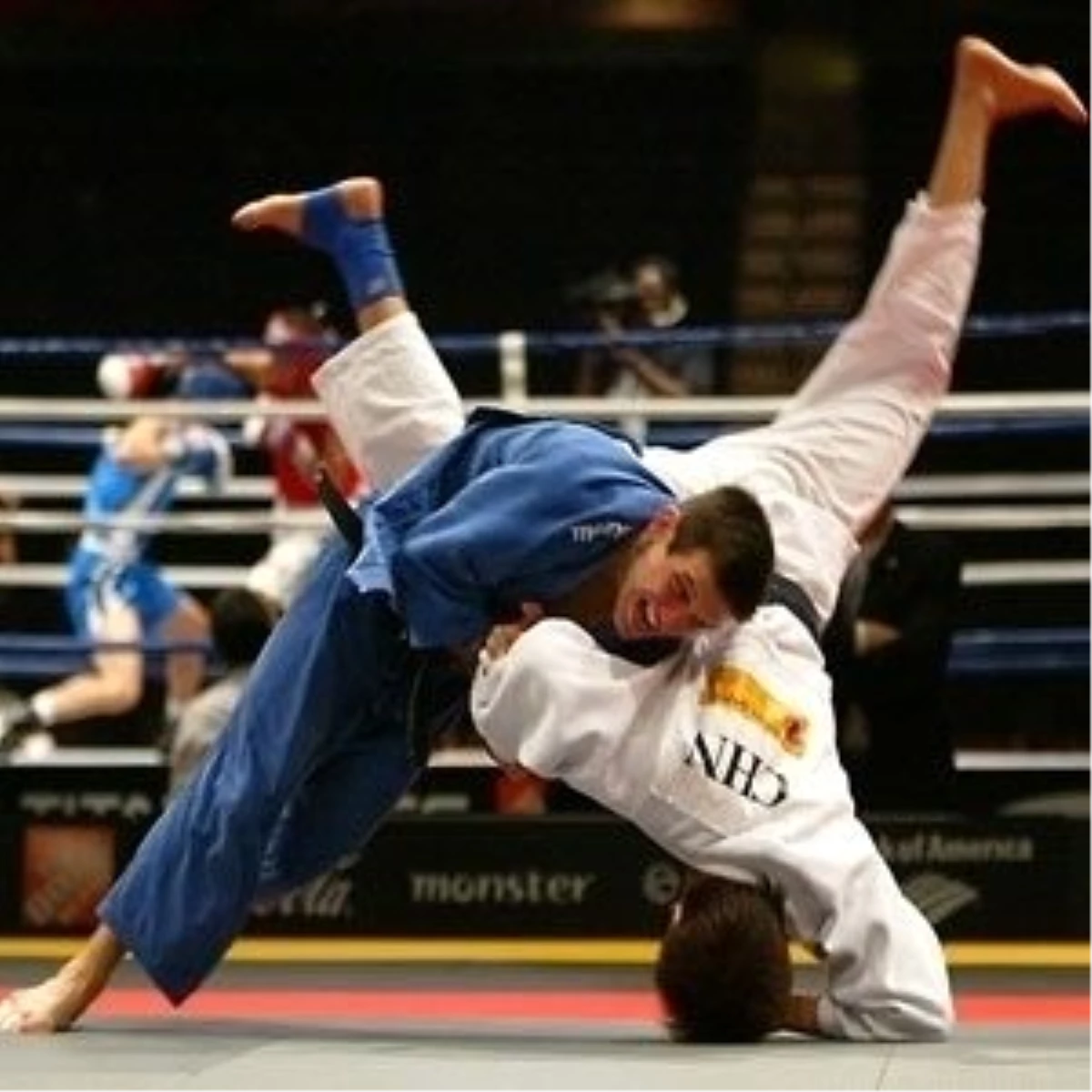 Avrupa Wushu Şampiyonası
