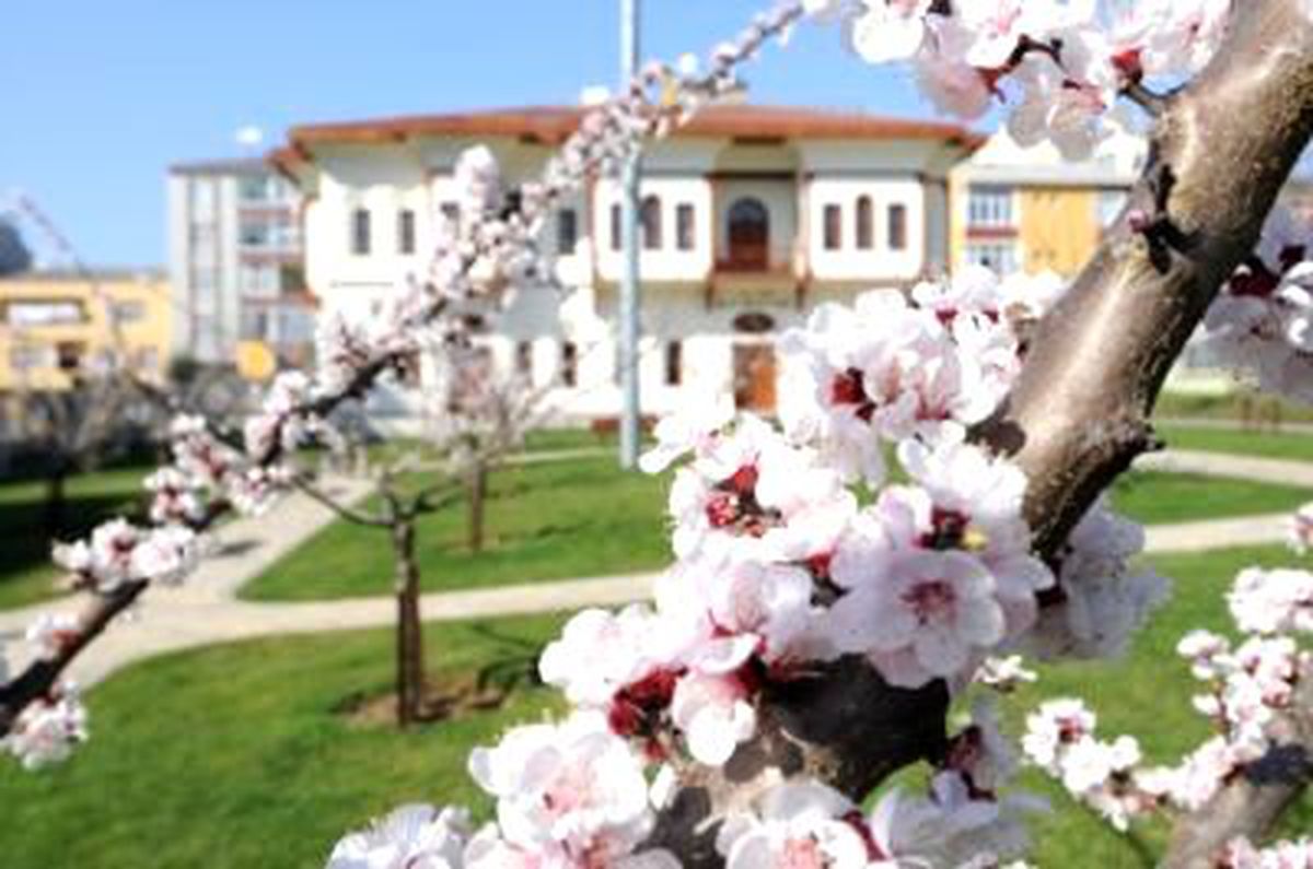Bağcılar\'da Nostalji Bahçeleri Çiçek Açtı