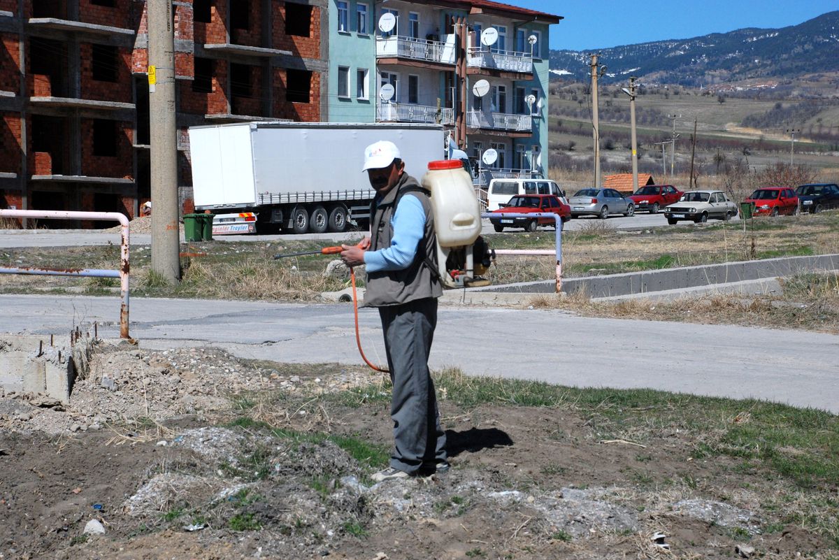 Gediz Belediyesi Larvasit Sinek İlaçlama Çalışması Başlattı
