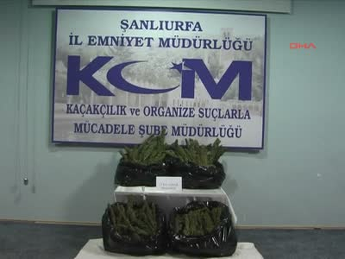 Şanlıurfa\'da Esrar Operasyonu; 3 Gözaltı