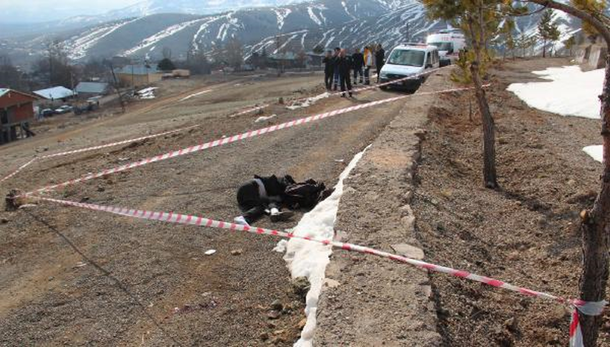 Suşehri\'nde Yol Kenarında Ceset Bulundu