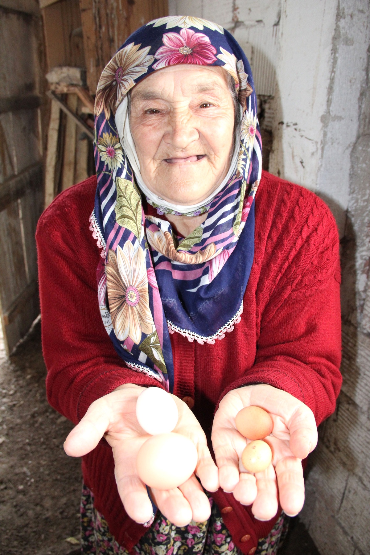 Tavuk Yumurtası Olduğuna İnandıramıyor