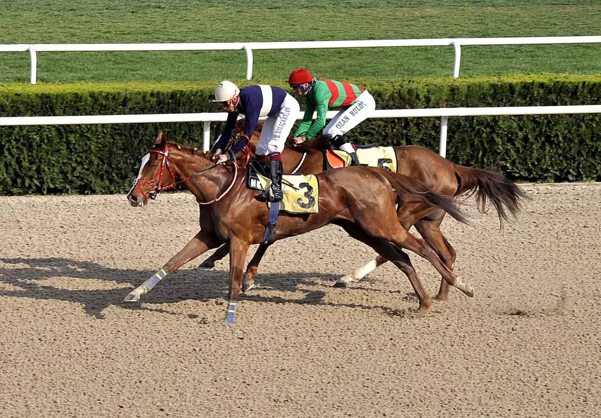 Tsyd Kupası Dansıng Rıver'in