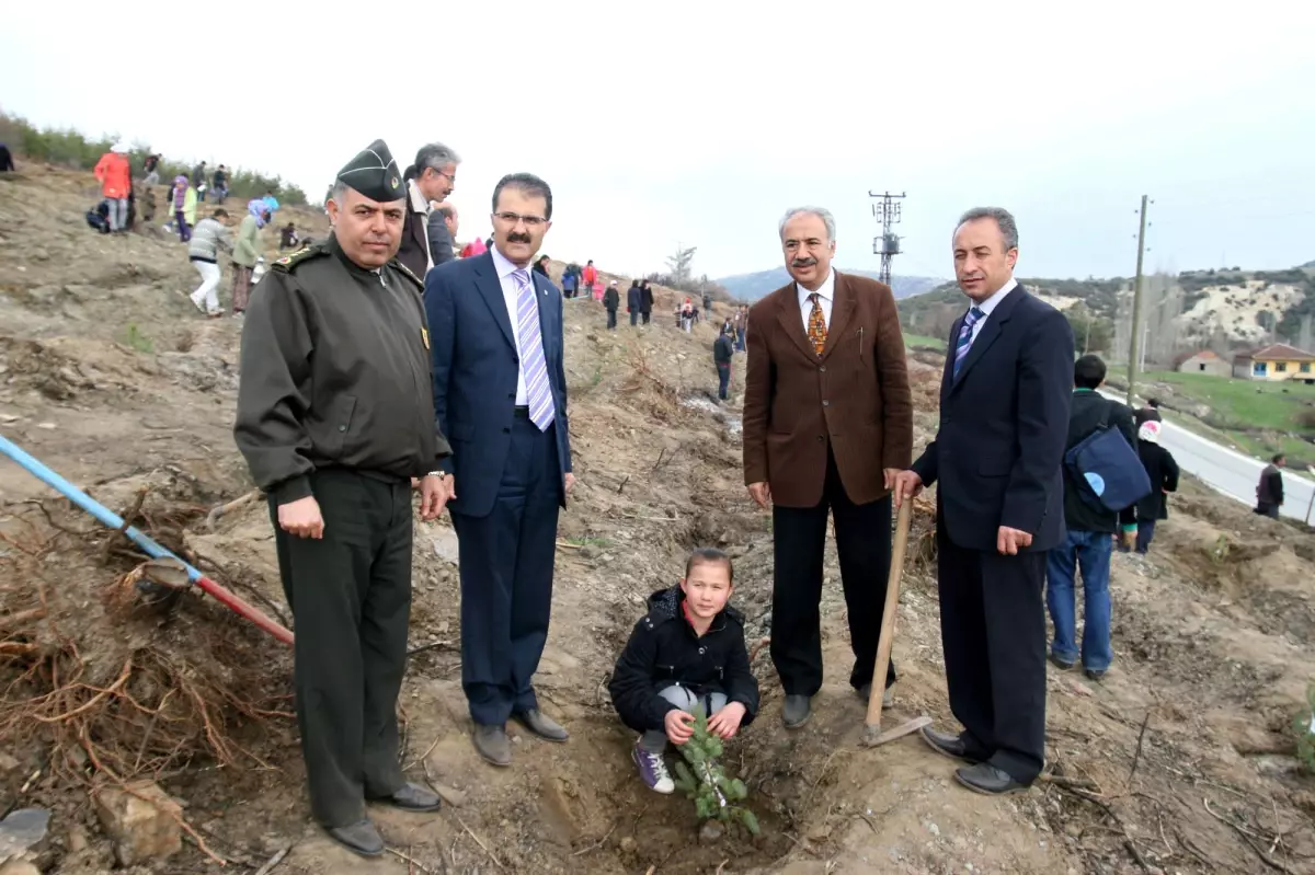 Yetiştirme Yurdu ile Çocuk Yuvasında Kalan 102 Öğrenci Fidan Dikti