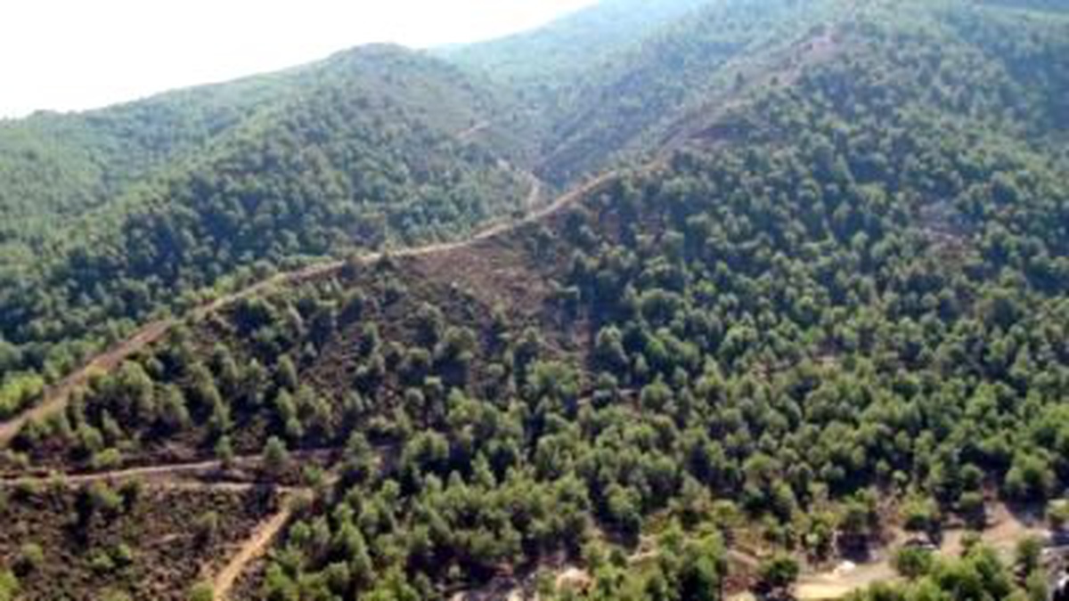 Amanos Dağları'nda PKK'lılar Telsizle Konuştu, Jandarma Operasyona Başladı