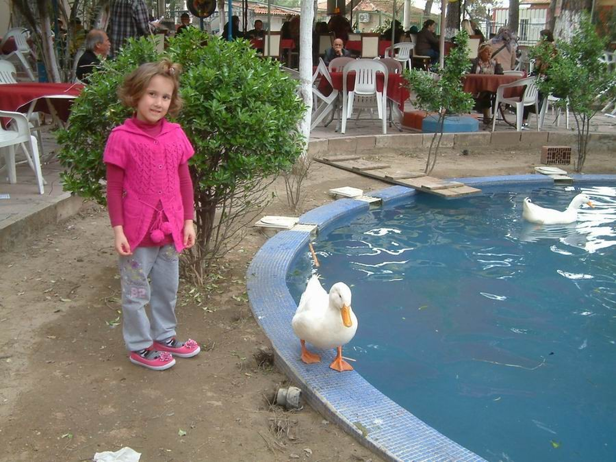 Burhaniye\'de Çocukların Ördek Sevgisi