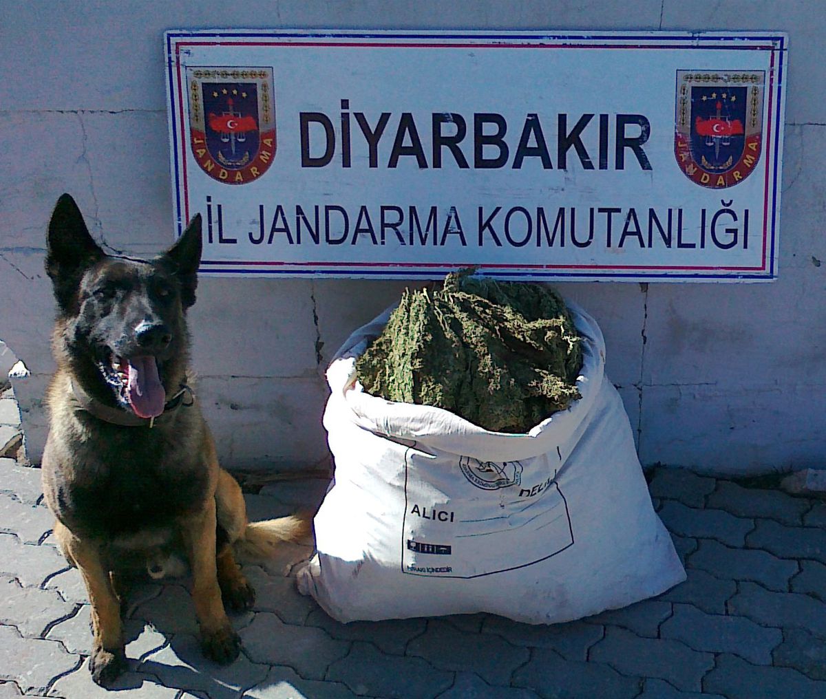 Diyarbakır\'da 31 Kilo Gram Esrar Ele Geçirildi