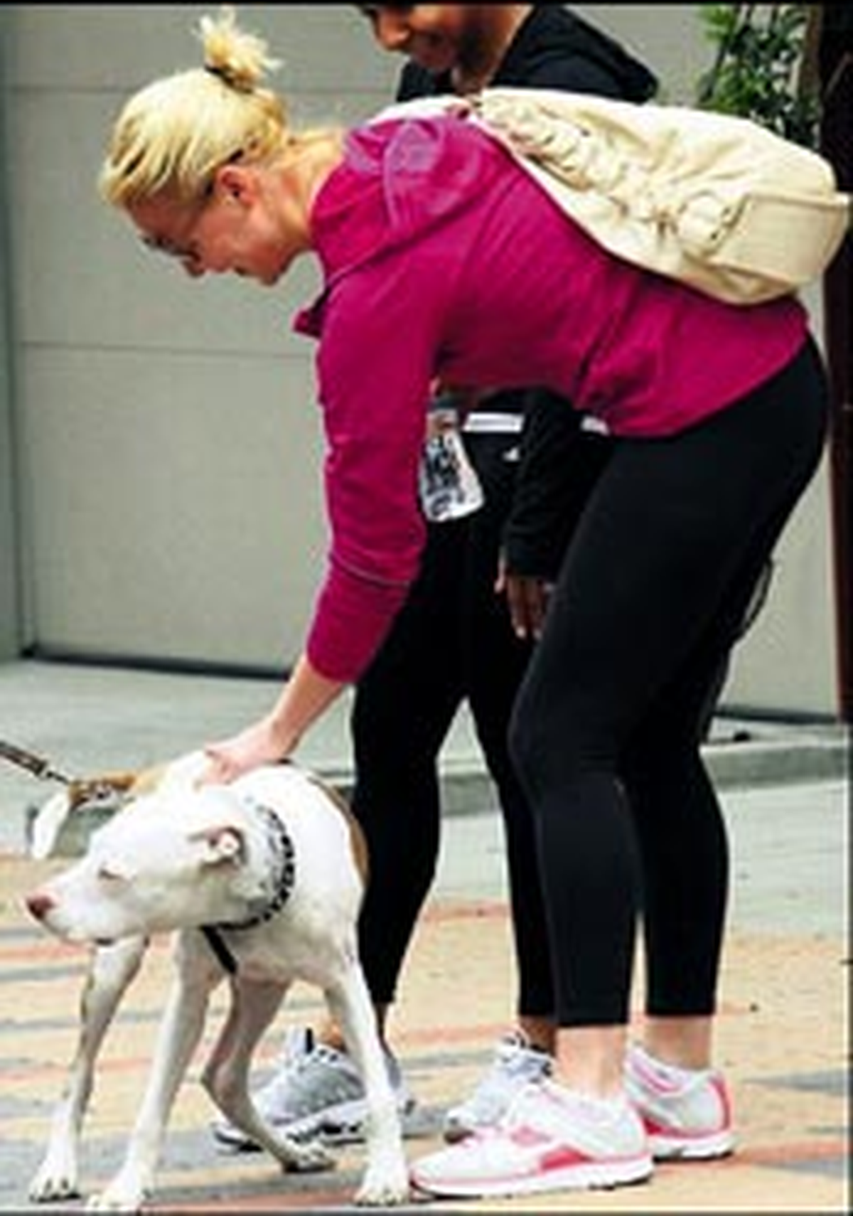 Güzel Oyuncuya Köpek Saldırdı