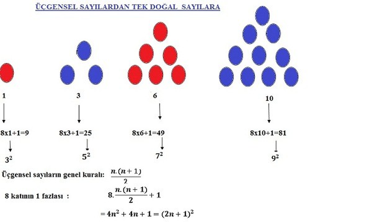 Hisarönü Zübeyde Hanım İlköğretim Okulu Ankara'da Yarışacak