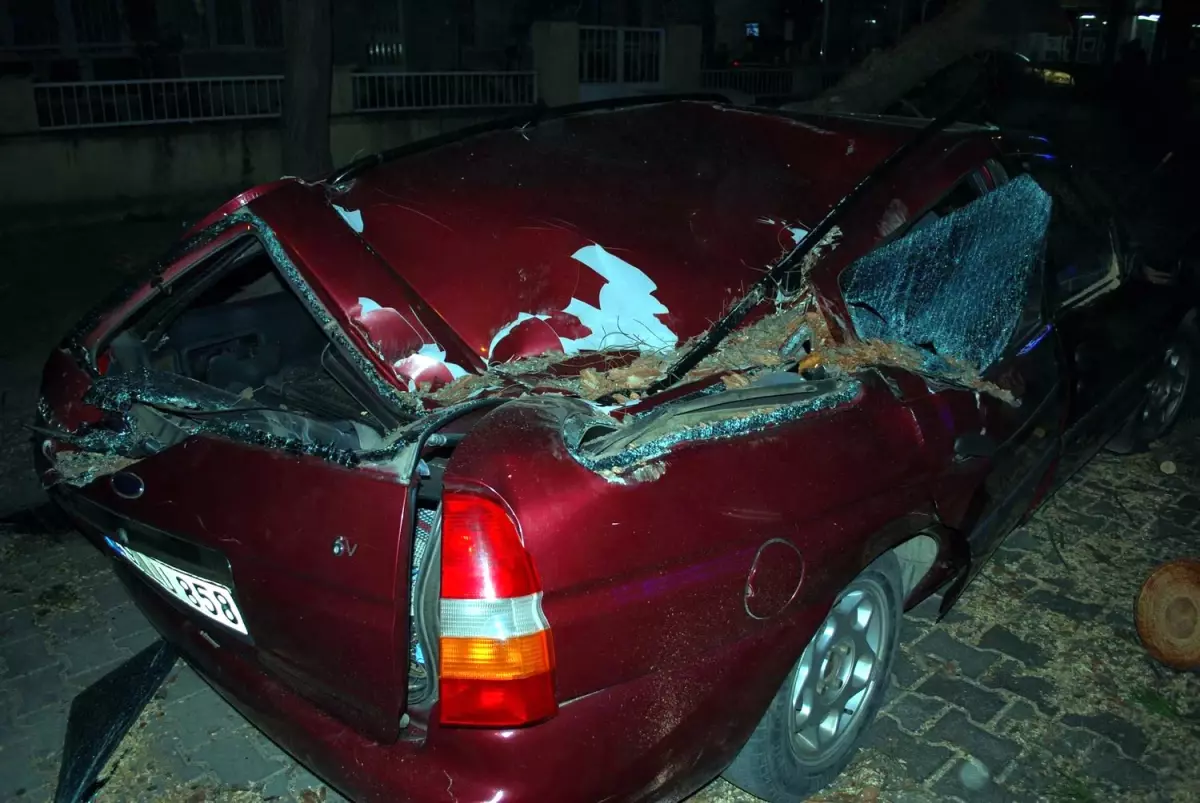 Salihli\'de Lodos, Hayatı Olumsuz Etkiledi