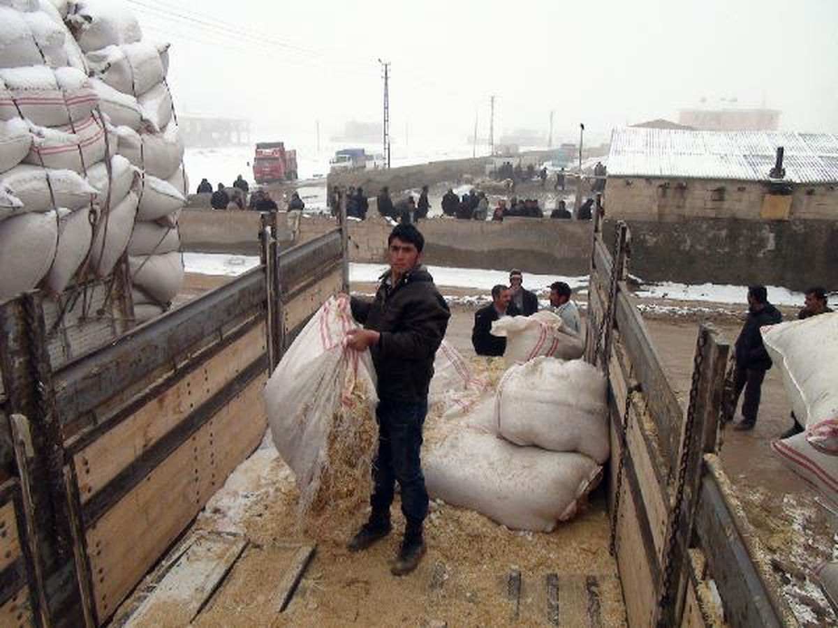 Van\'da Saman Fiyatları El Yakıyor