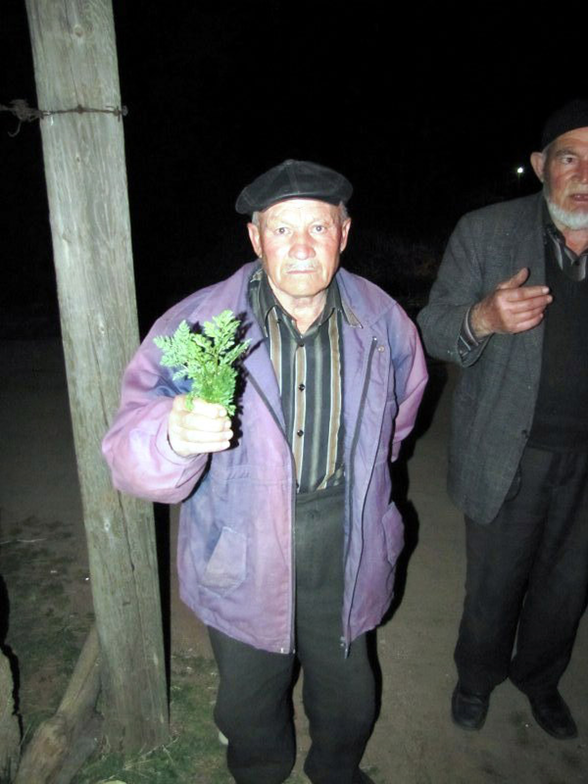 Yabani Otları Maydanoz Zannedip Yiyen 7 Çocuk Zehirlendi (2)