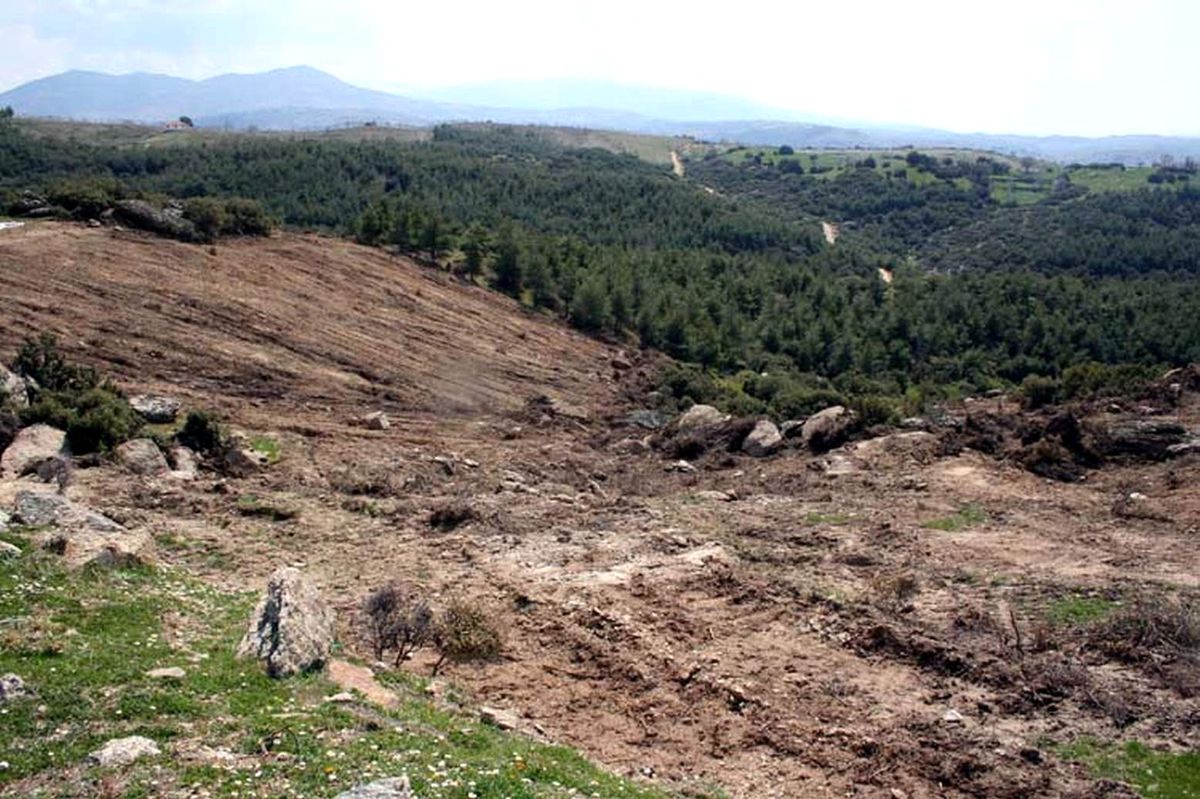 Yörük Ormanı İçin Çalışmalar Başladı