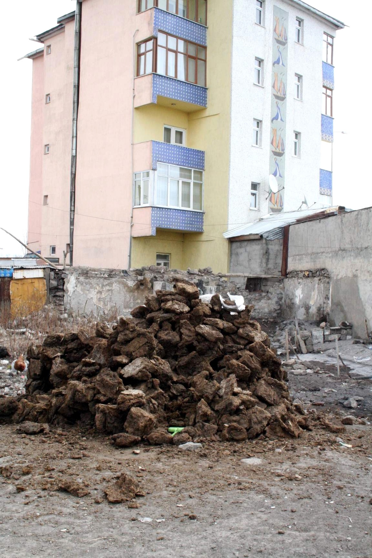 Kars\'ta Mahalle Aralarına Gelişi Güzel Dökülen Hayvan Gübreleri İnsan Sağlığını Olumsuz Etkiliyor