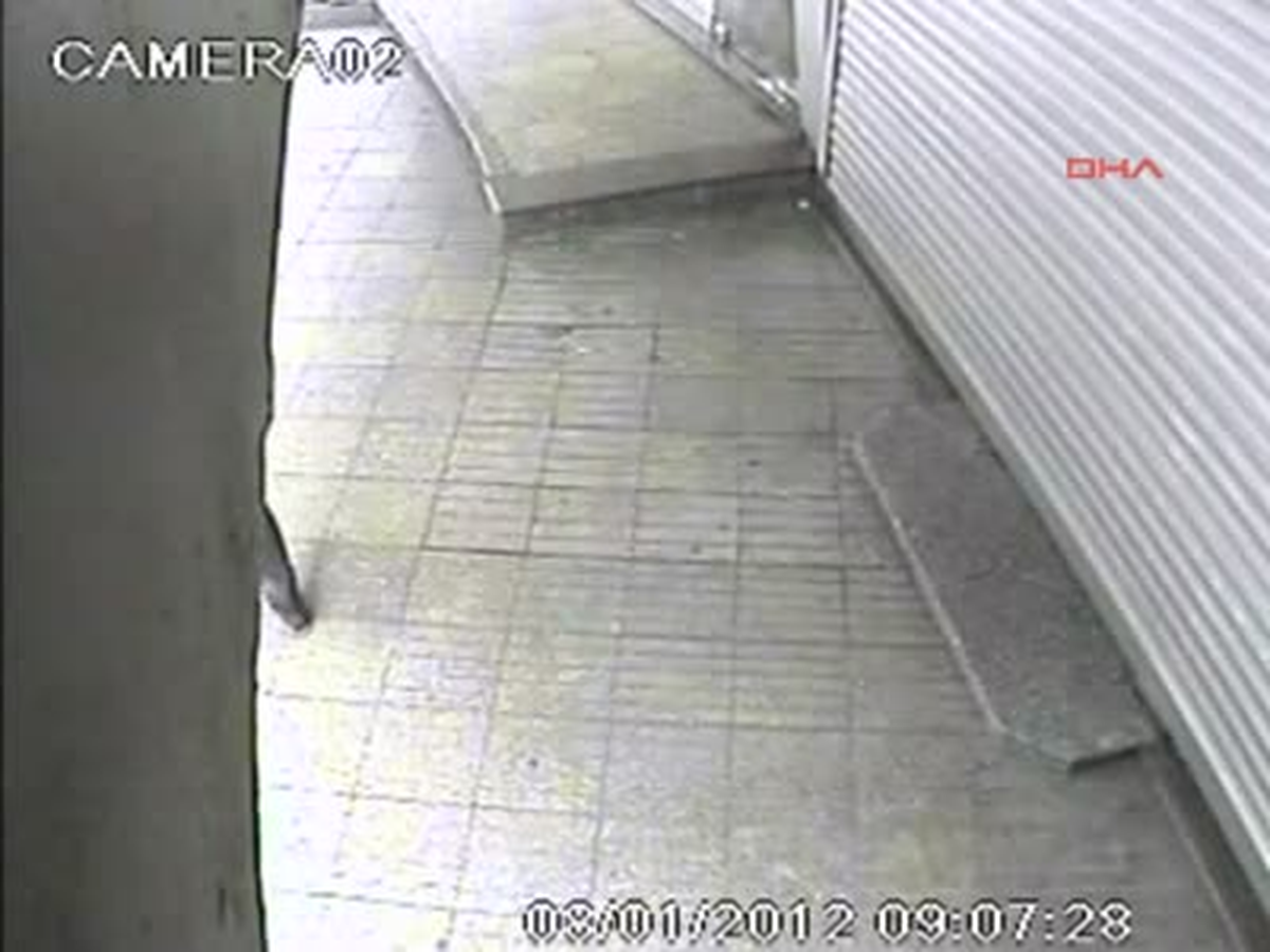 Kız Öğrenciye Cinsel Organını Gösterirken Güvenlik Kamerasına Yakalandı
