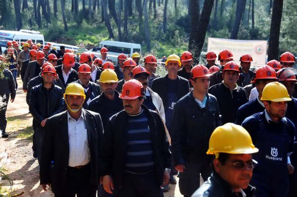 Orman İşçilerine Uluslararası Sertifika
